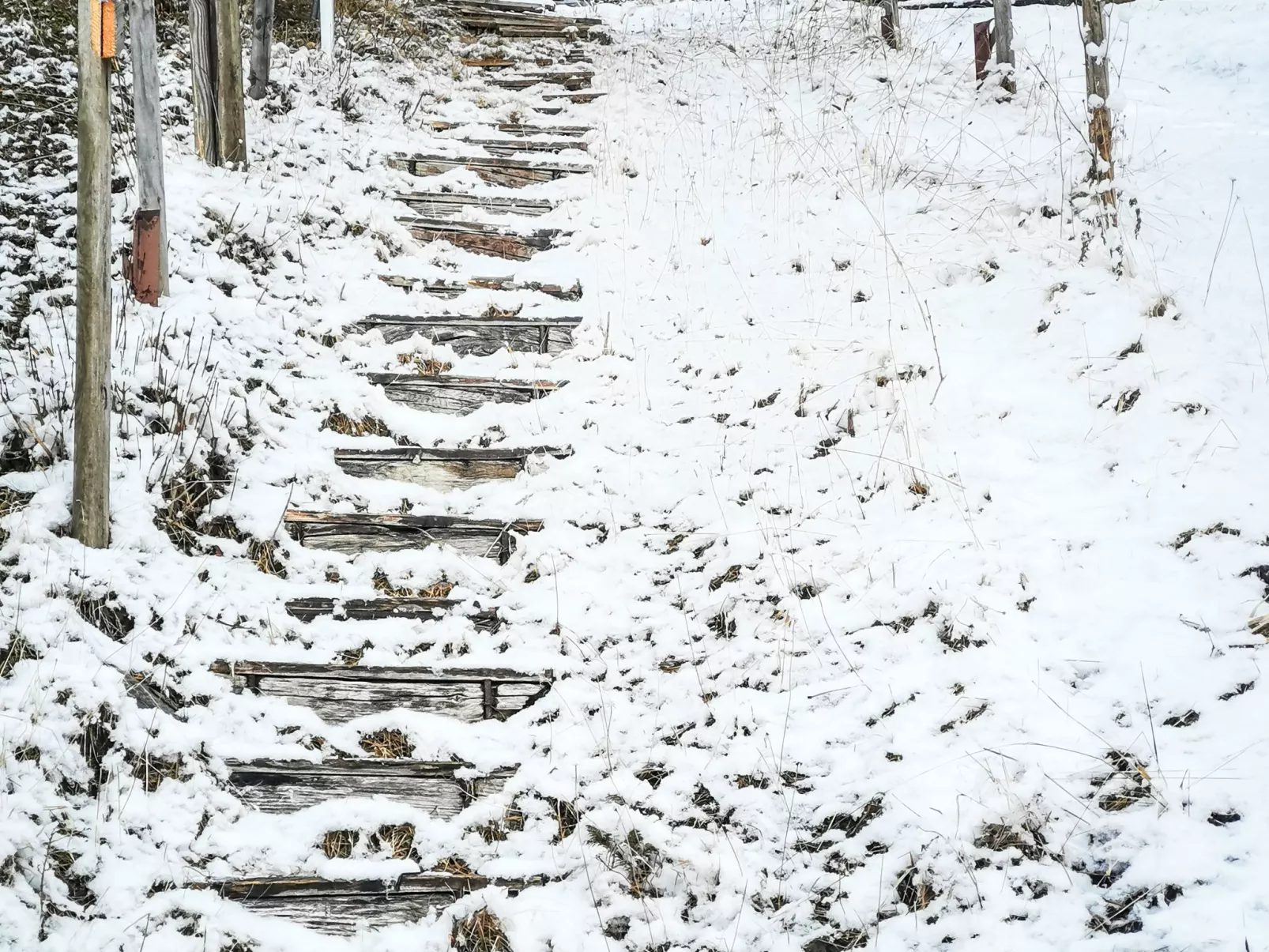 Adlerhorst Großglockner - Draußen