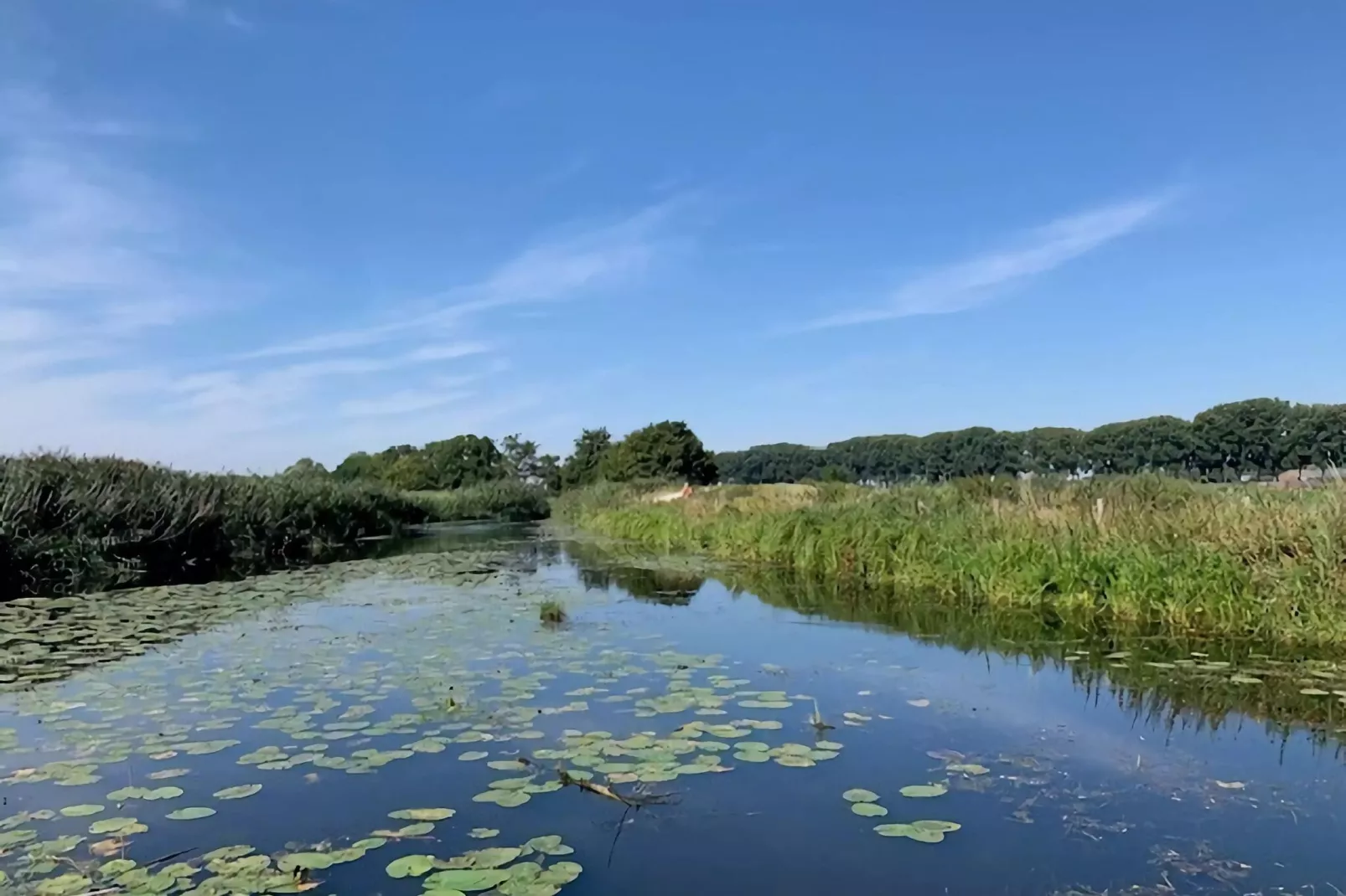 De Parelduiker Huis Nr 19-Areas summer 5km
