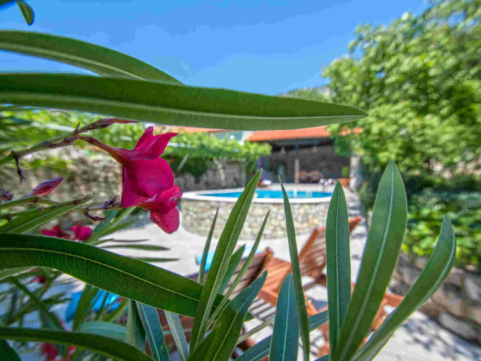 Kruzic kuca / HR-09573-01