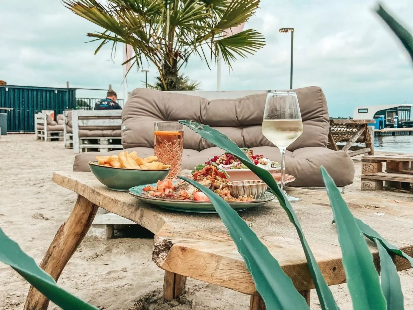 HouseBoat Sneekwater