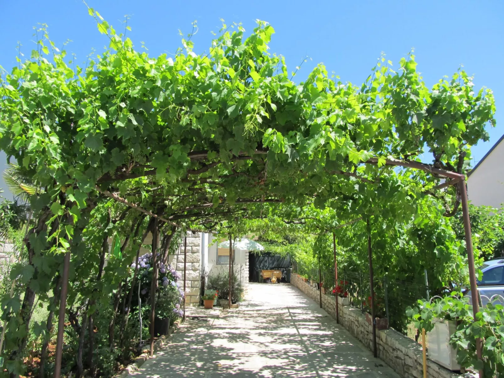 Vintage Guest Room Cerisnja / HR-11059-05