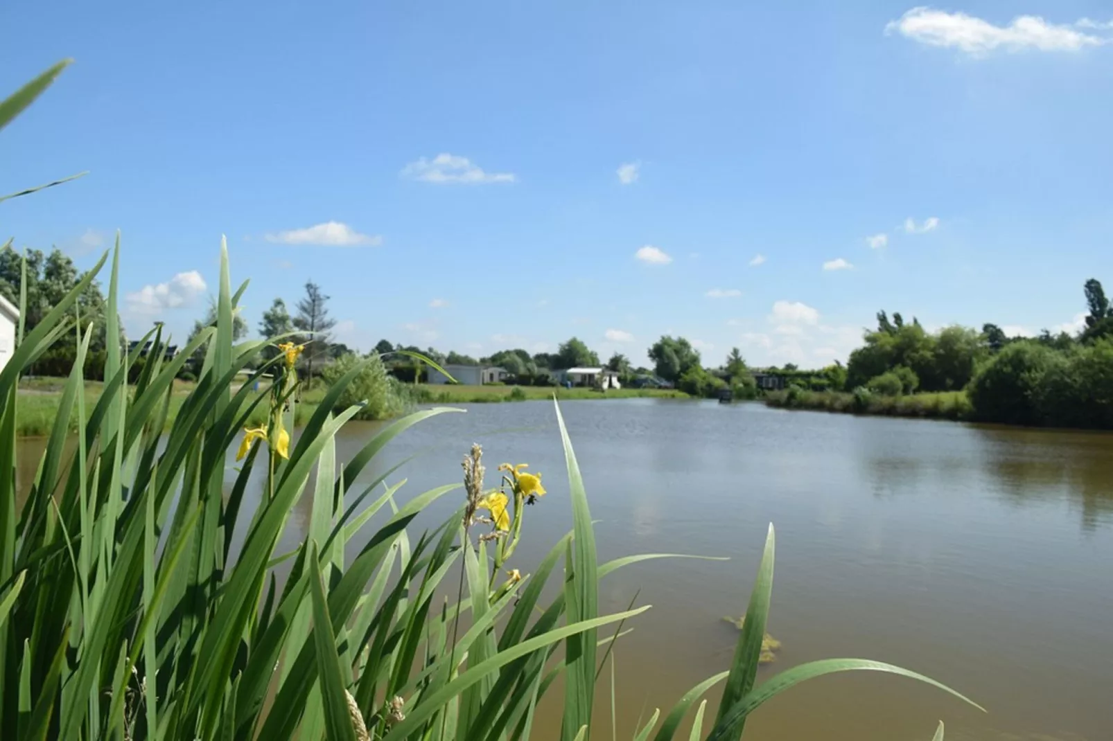Brabants Weelde-Areas summer 1km
