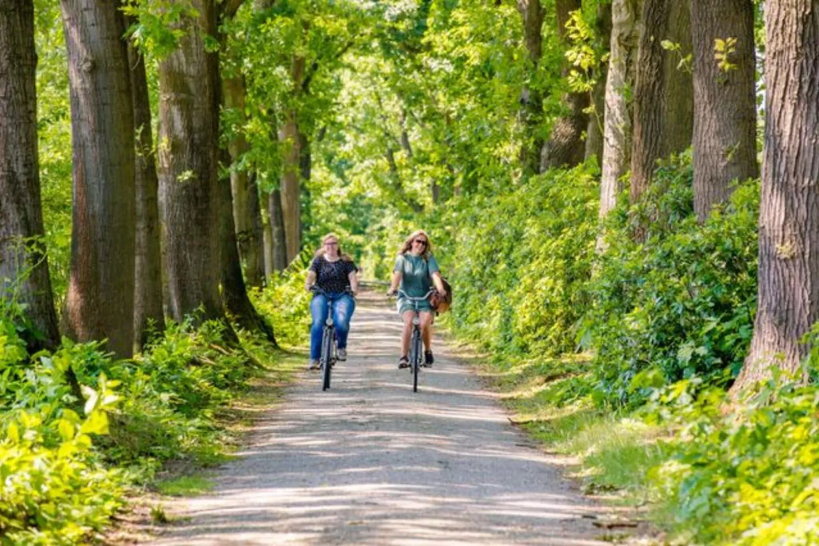 Brabants Weelde-Areas summer 5km