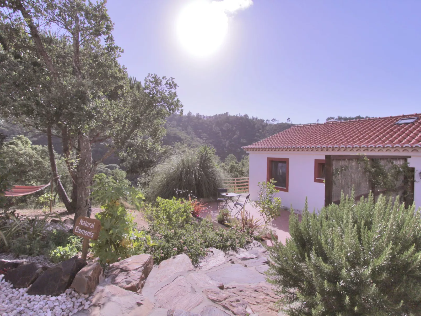 "The Natural Elements"