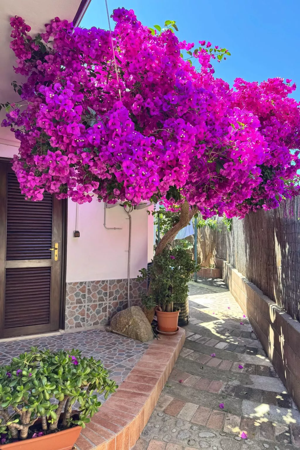 Gästezimmer 'Room' mit Grill
