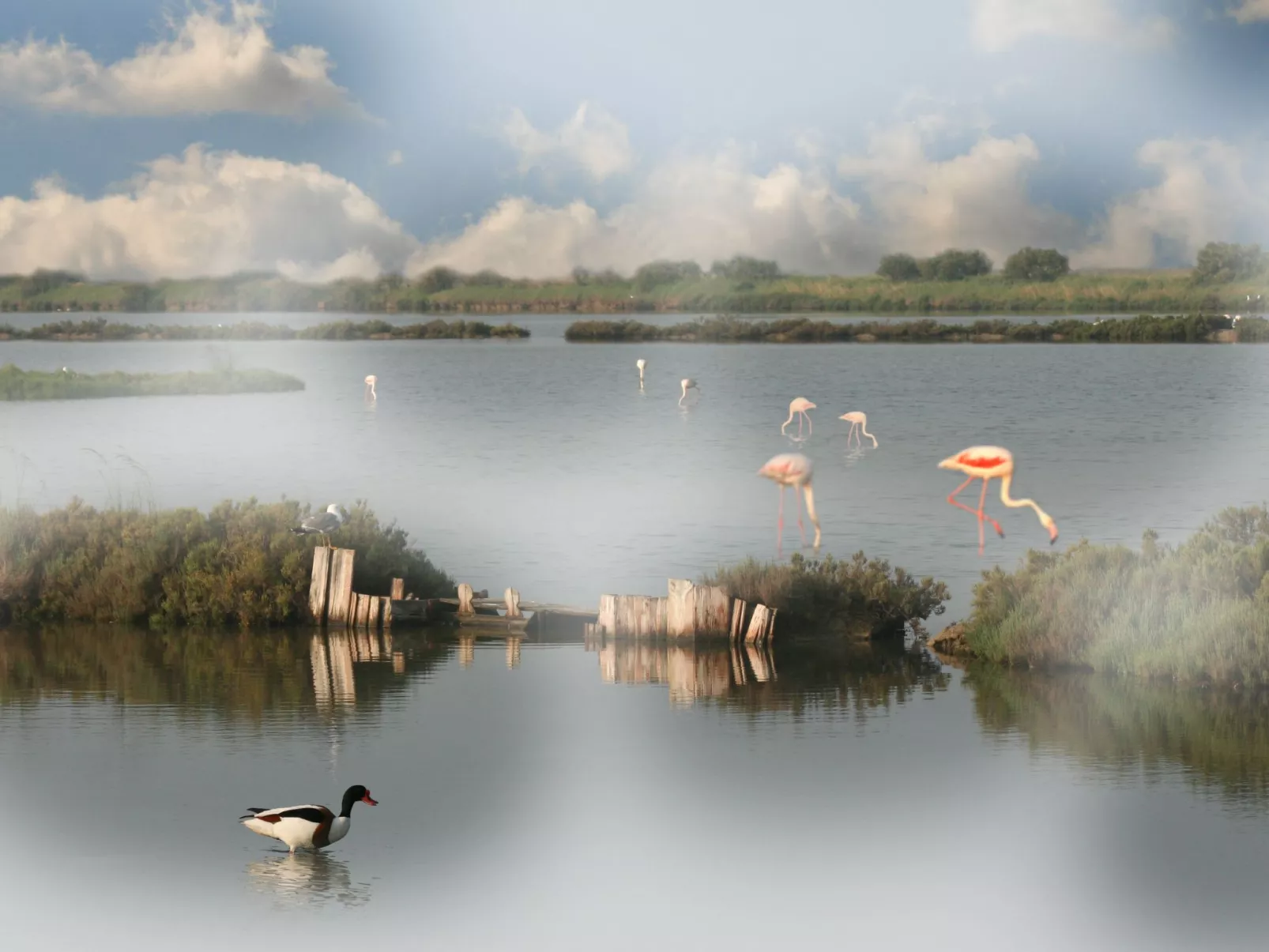 Eckhaus in Lido Di Volano, großer Innenhof, Grillplatz