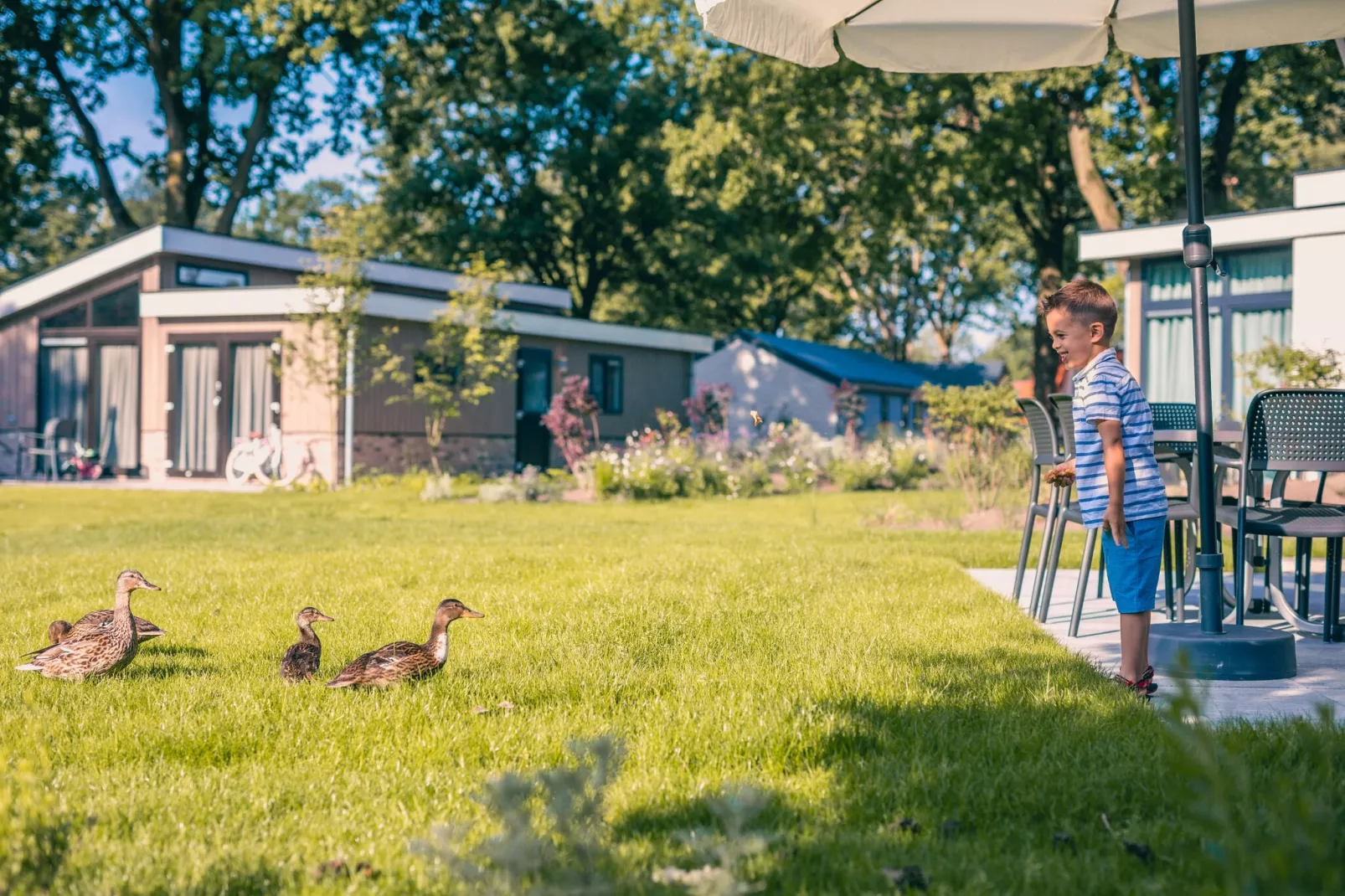 Resort Kaatsheuvel 12-Areas summer 1km