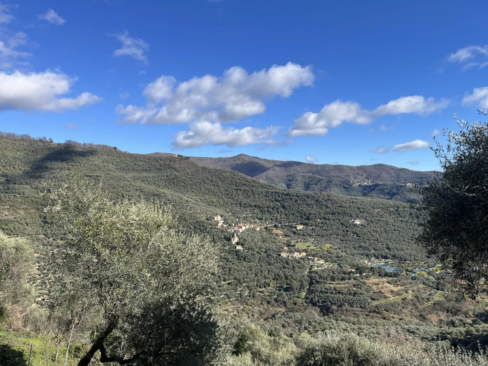 Giglio (VLO205) - Environnement