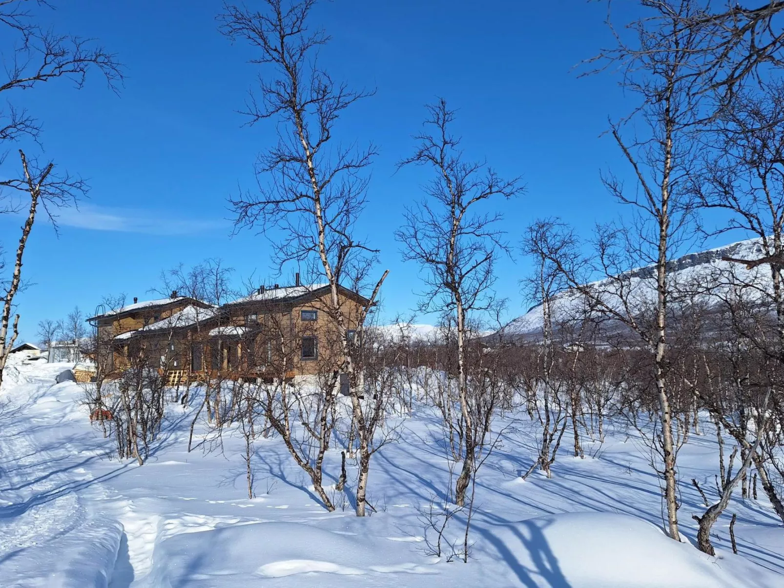 Saana aurora - Drinnen