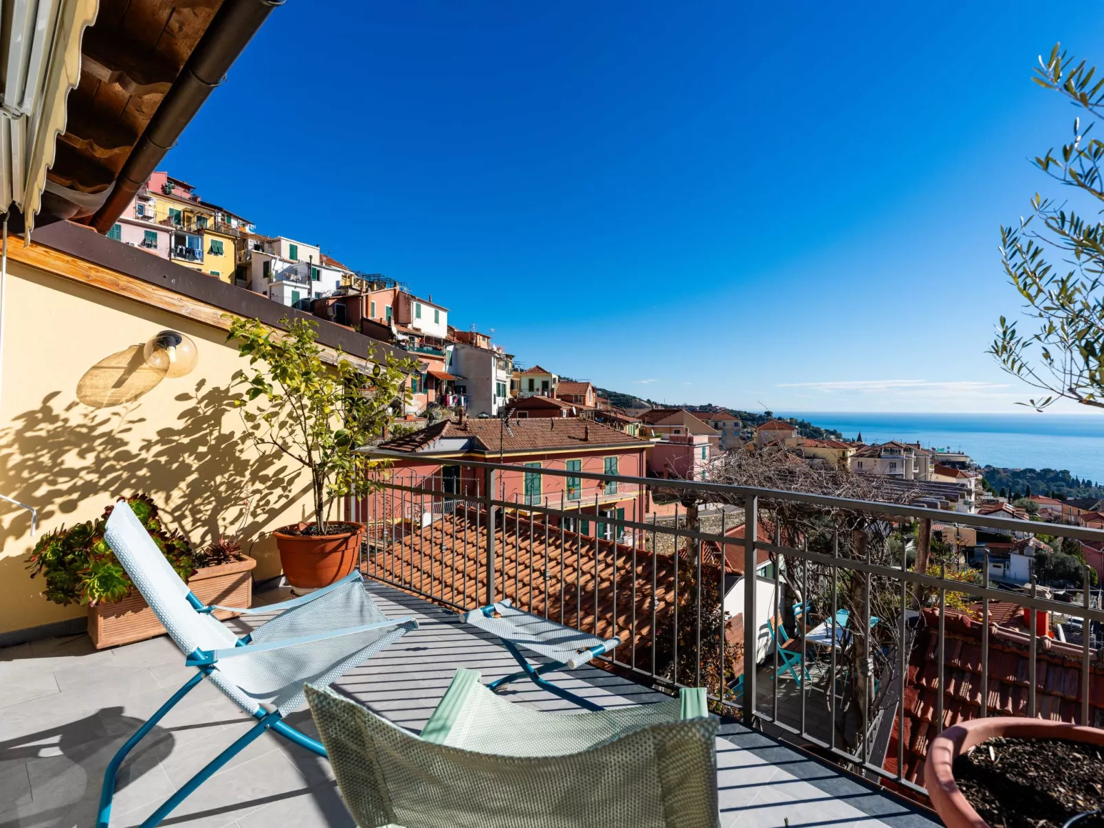 Terrazza con glicine