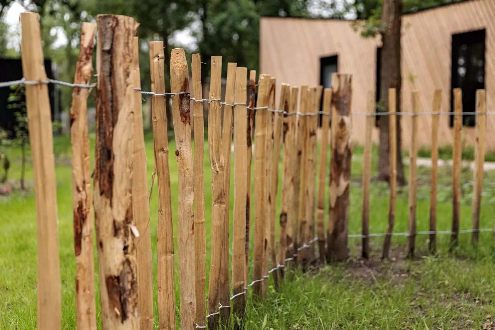 Vakantiepark Schaijk 12-Jardin d'été