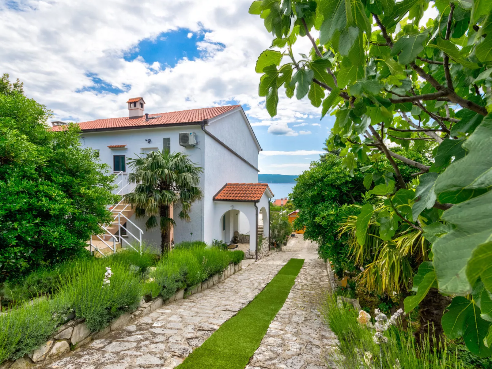 Suncano 2 / HR-10312-02