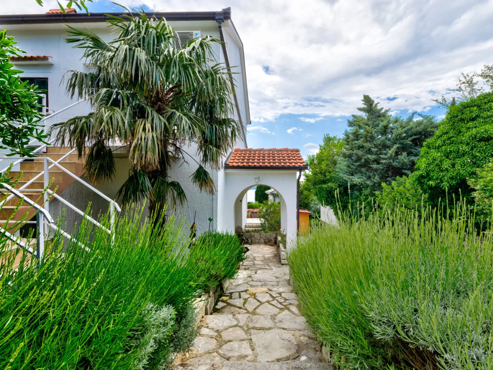 Suncano 1 / HR-10312-01