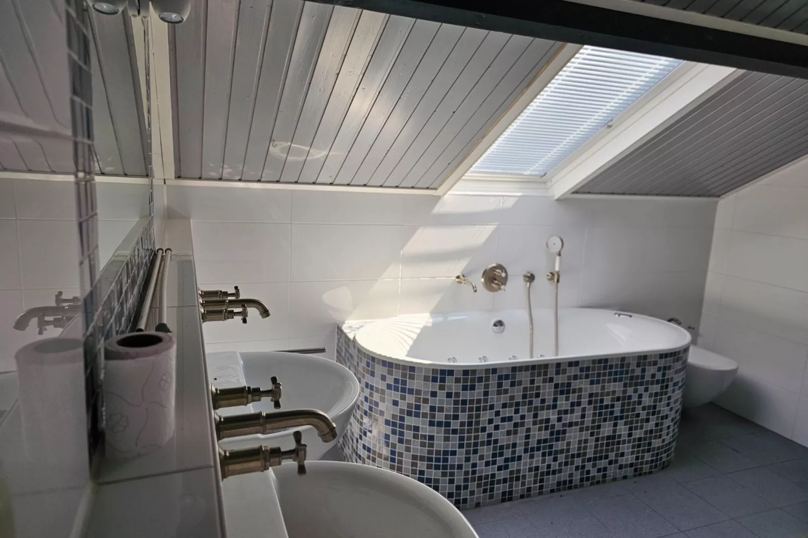 Dorpswoning Het Tolhuis-Bathroom