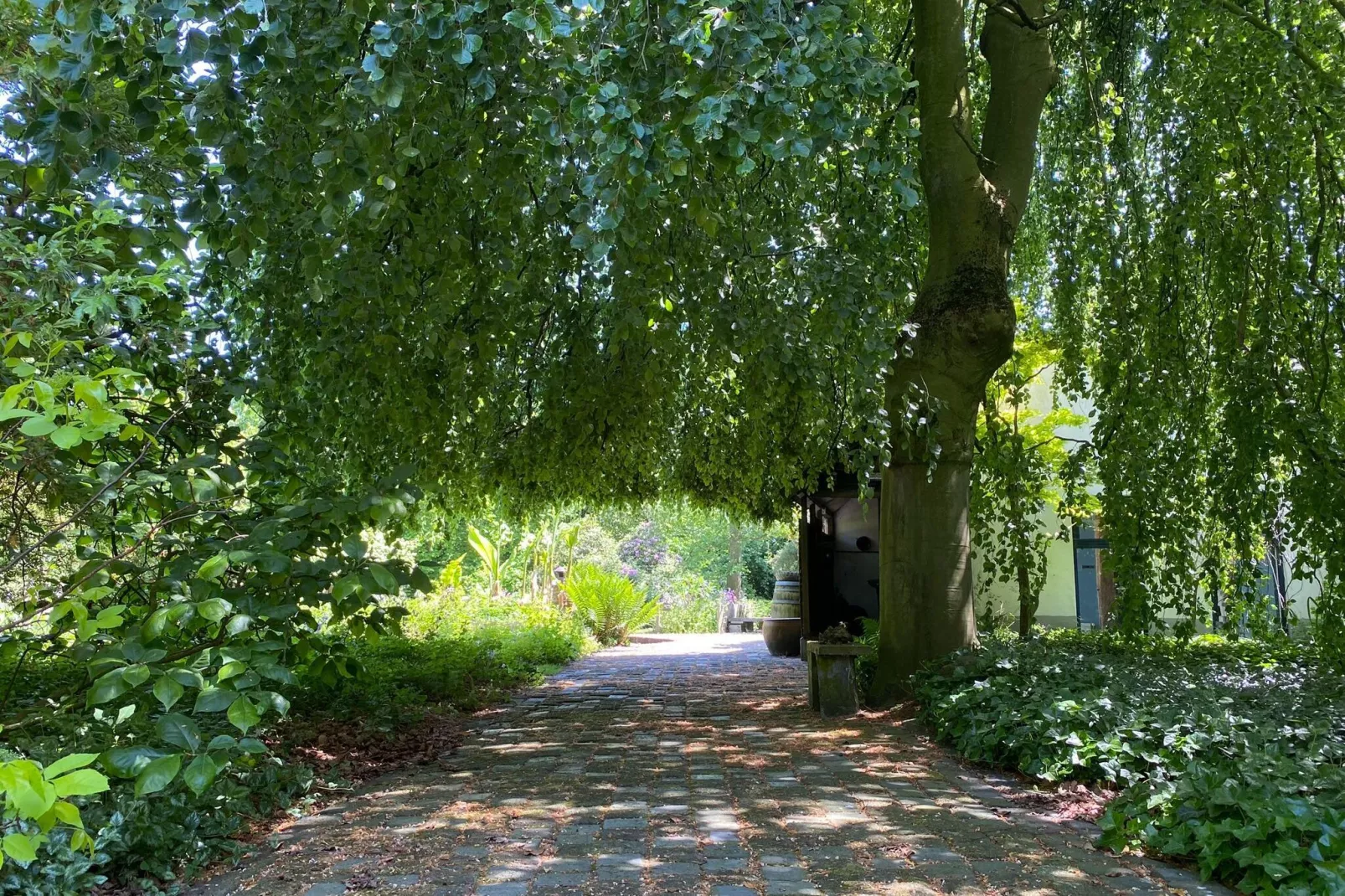 Dorpswoning Het Tolhuis-Gardens summer