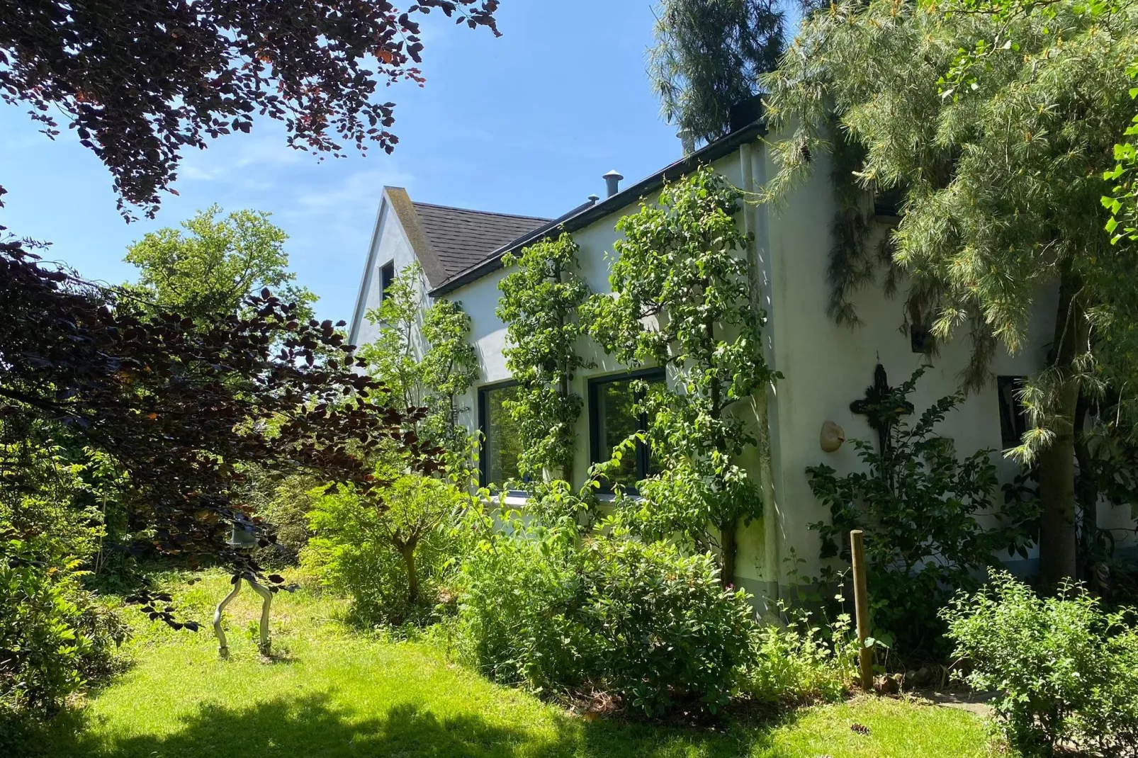 Dorpswoning Het Tolhuis-Gardens summer