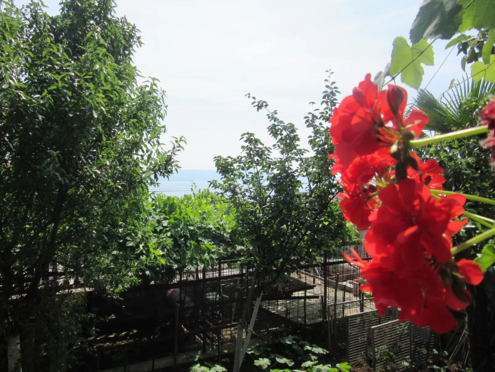 MILETIC prizemlje 2 / HR-10011-05