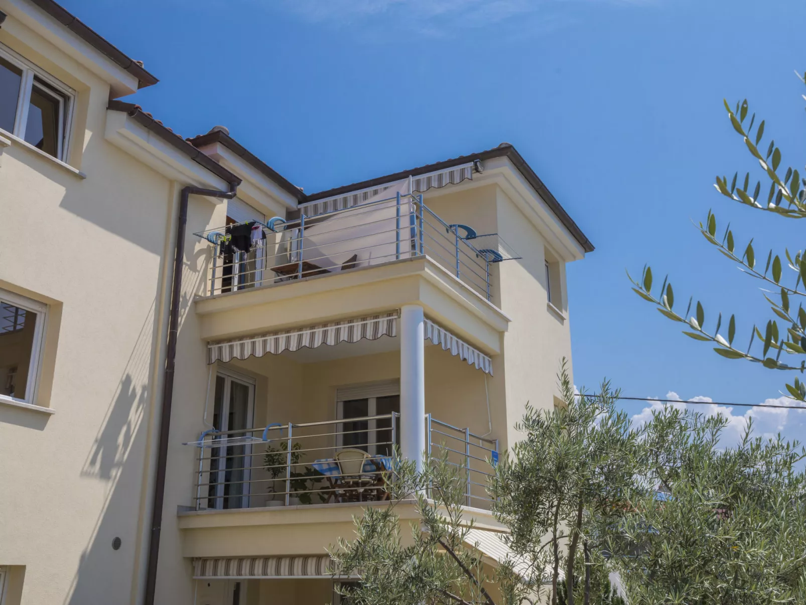 BOZIDAR 1 zuti / HR-10438-01