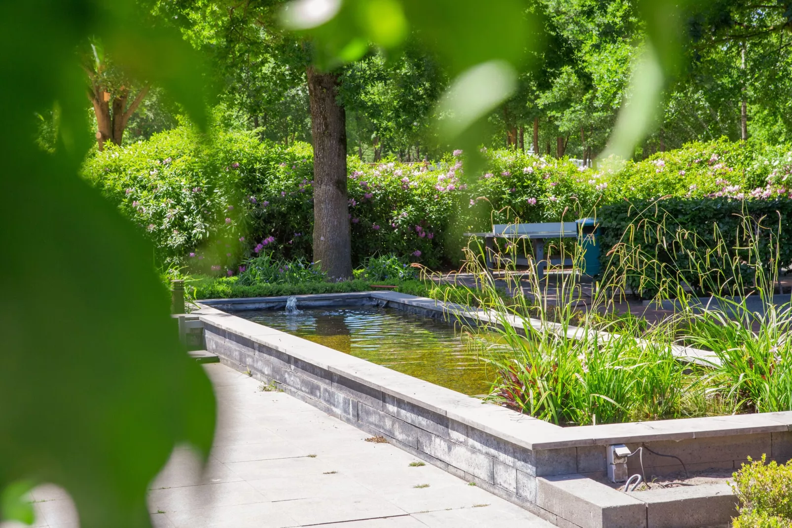 Vakantiepark Latour 5-Park facilities