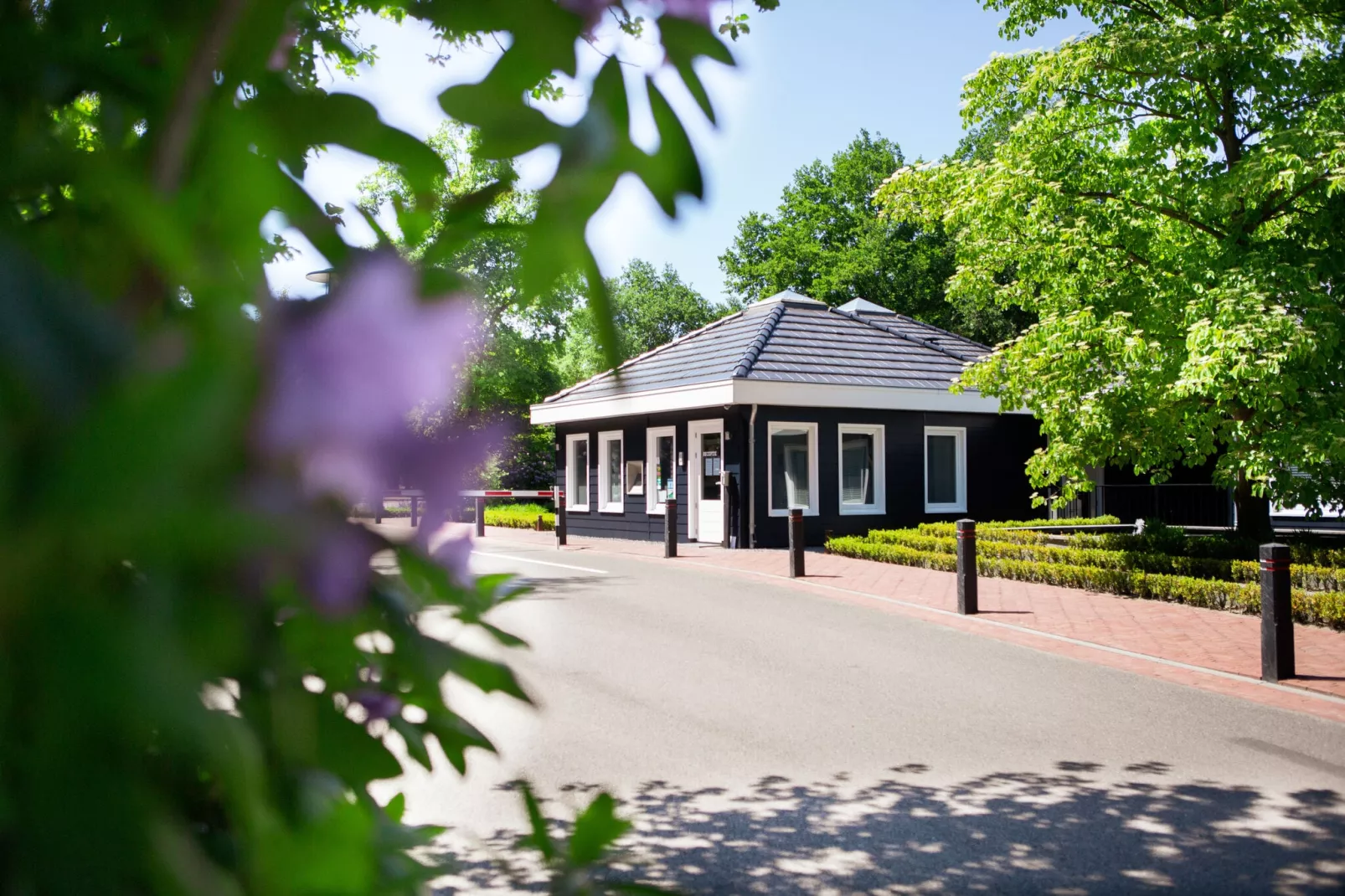 Vakantiepark Latour 5-Park facilities