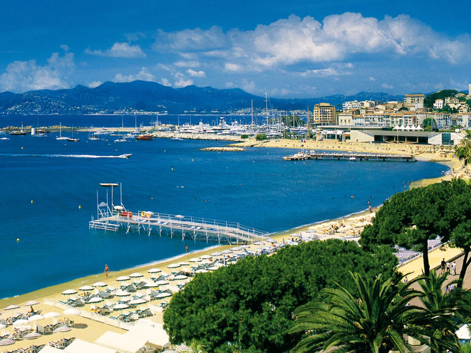 Luxury 1 bedroom  Jardin Croisette 265