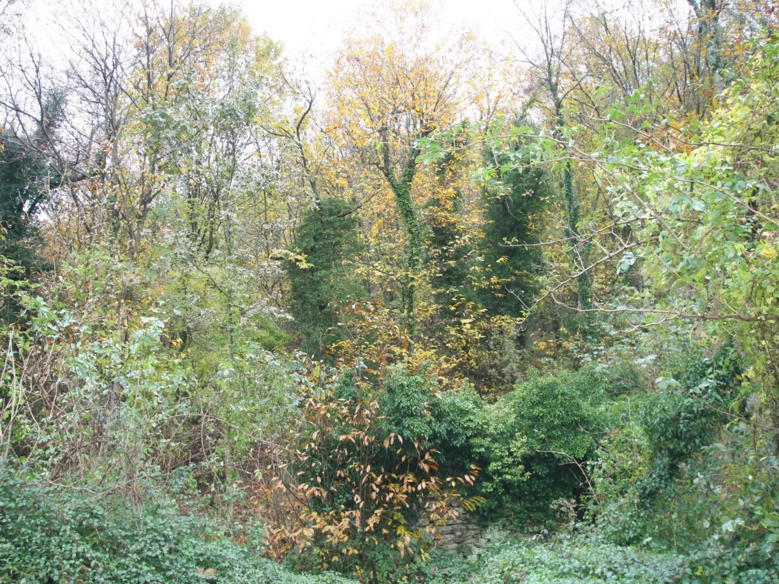 Für 3 Personen ca. 37 m&sup2- in Lumarzo, Norditalien (Ligurien)