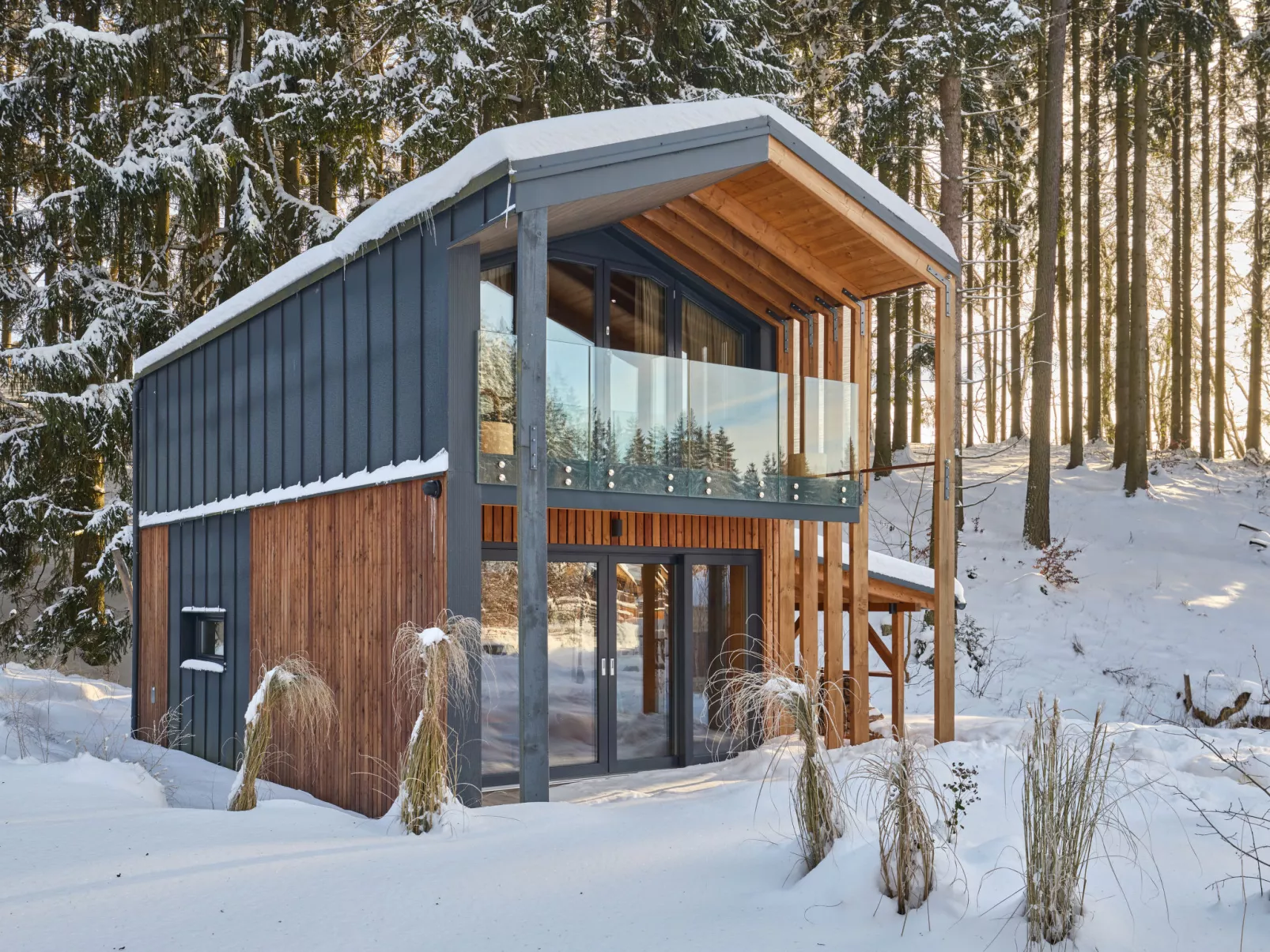 Luxe Timber Lodge & Pet Retreat - Outside