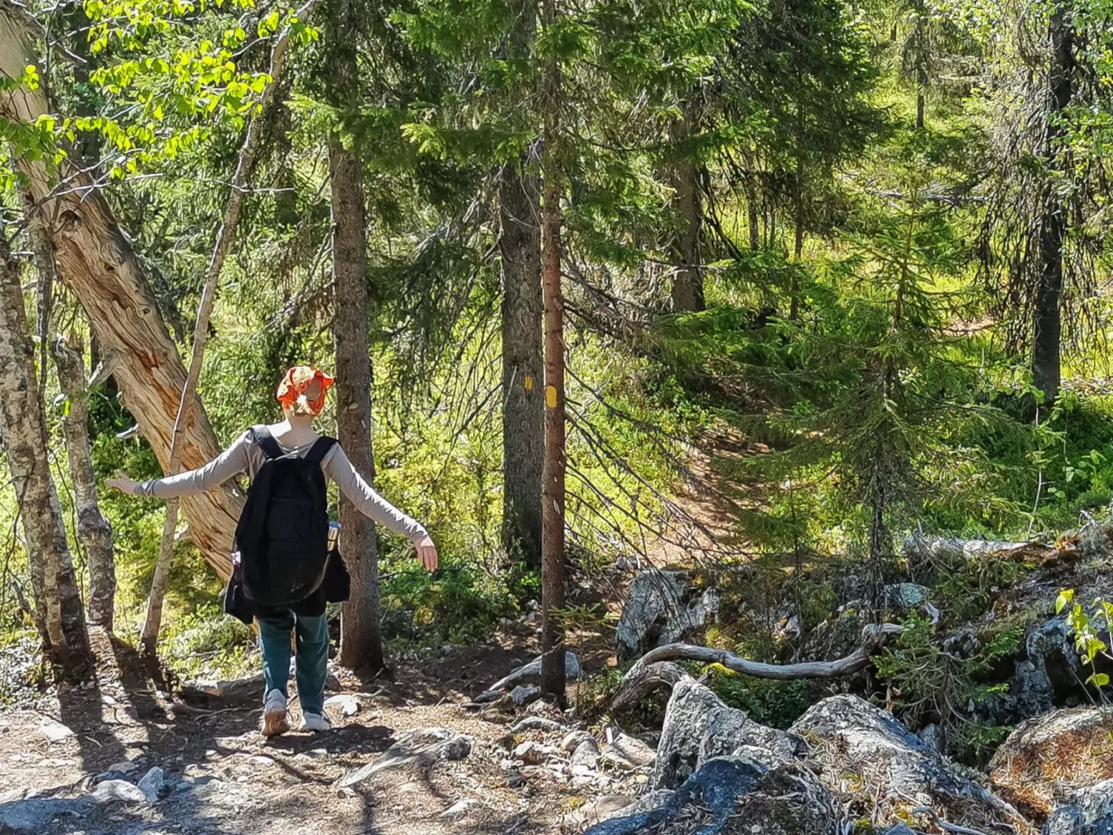 Vilkkuna 20 a - Inside