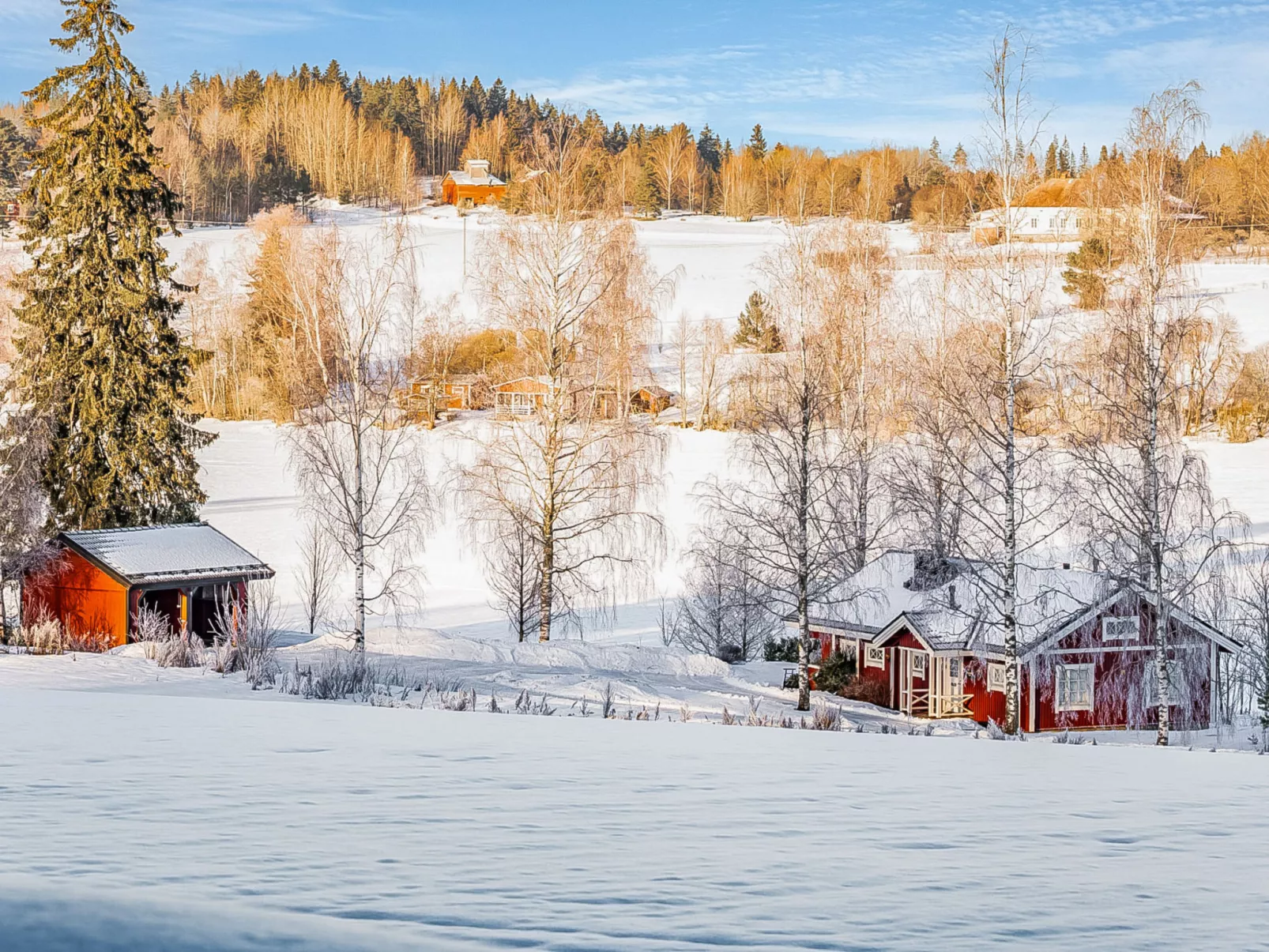 Peltosirkku - Inside