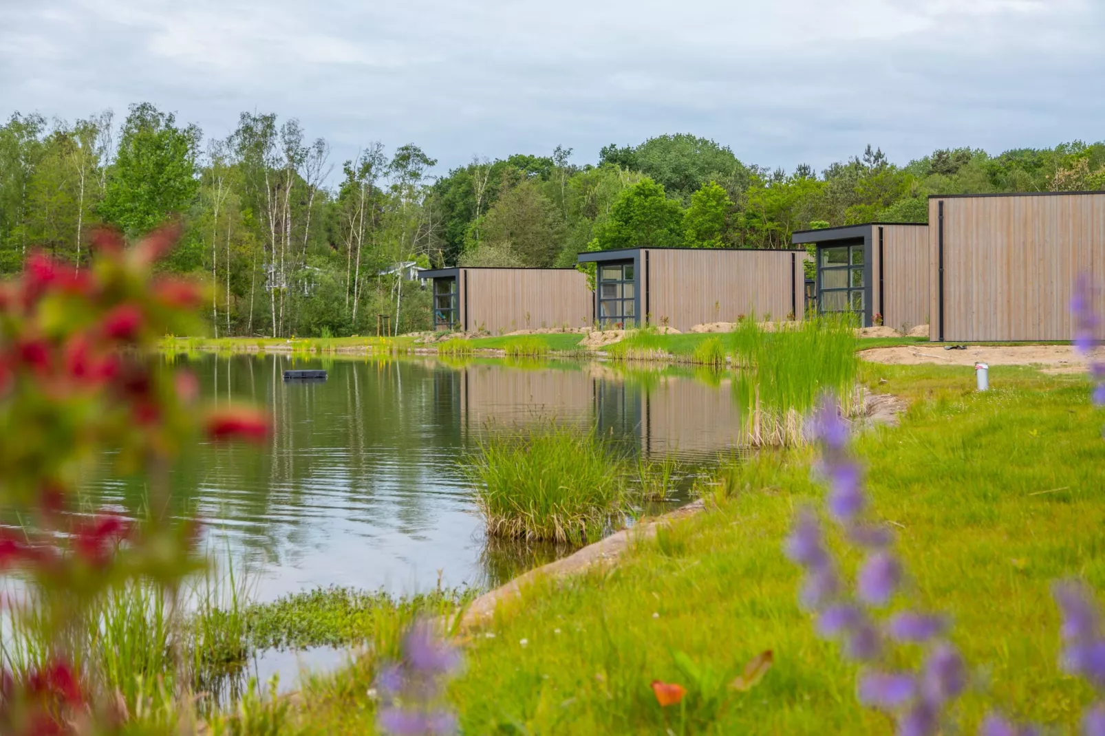 Resort Maasduinen 19-Areas summer 1km
