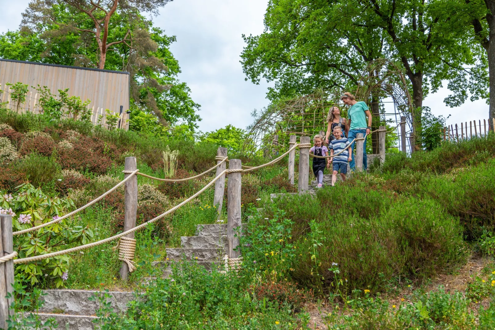 Resort Maasduinen 19-Areas summer 1km