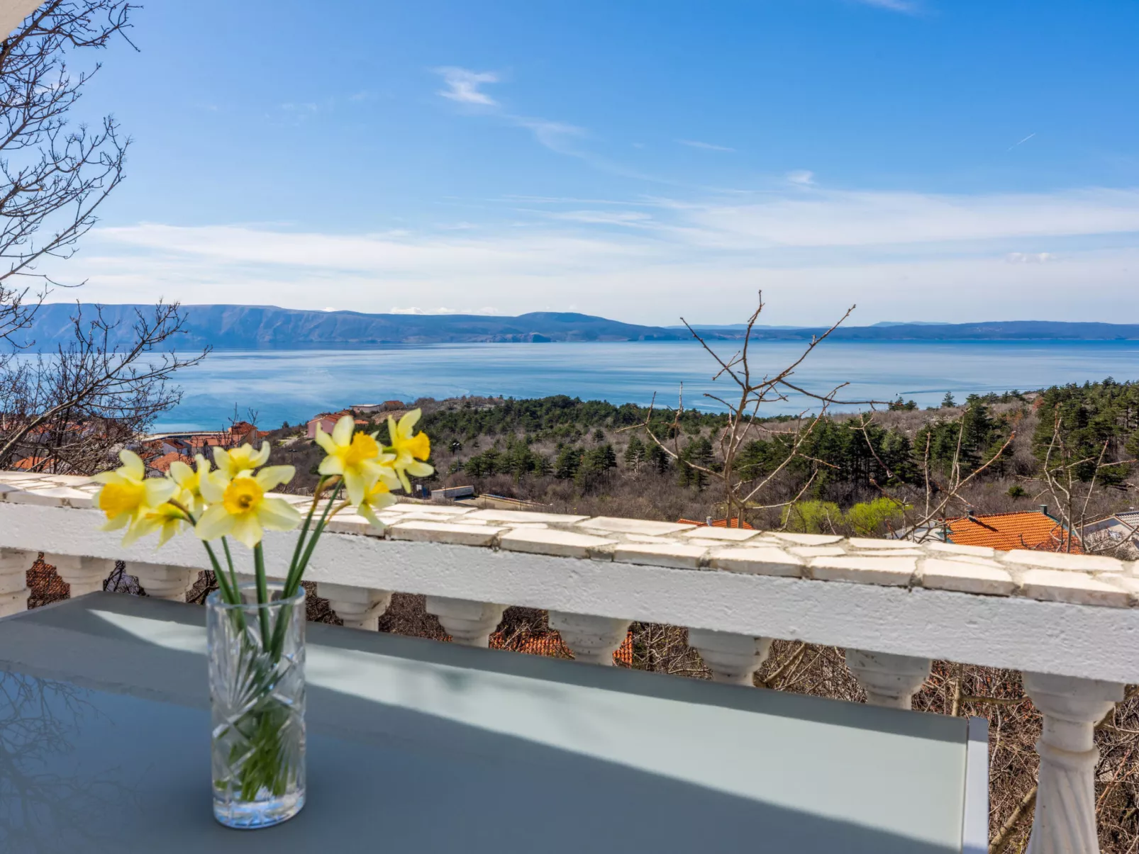 Pavicic Klenovica / HR-11063-01