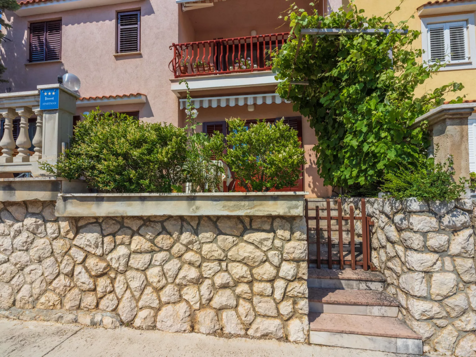 Agava mali / HR-11139-01