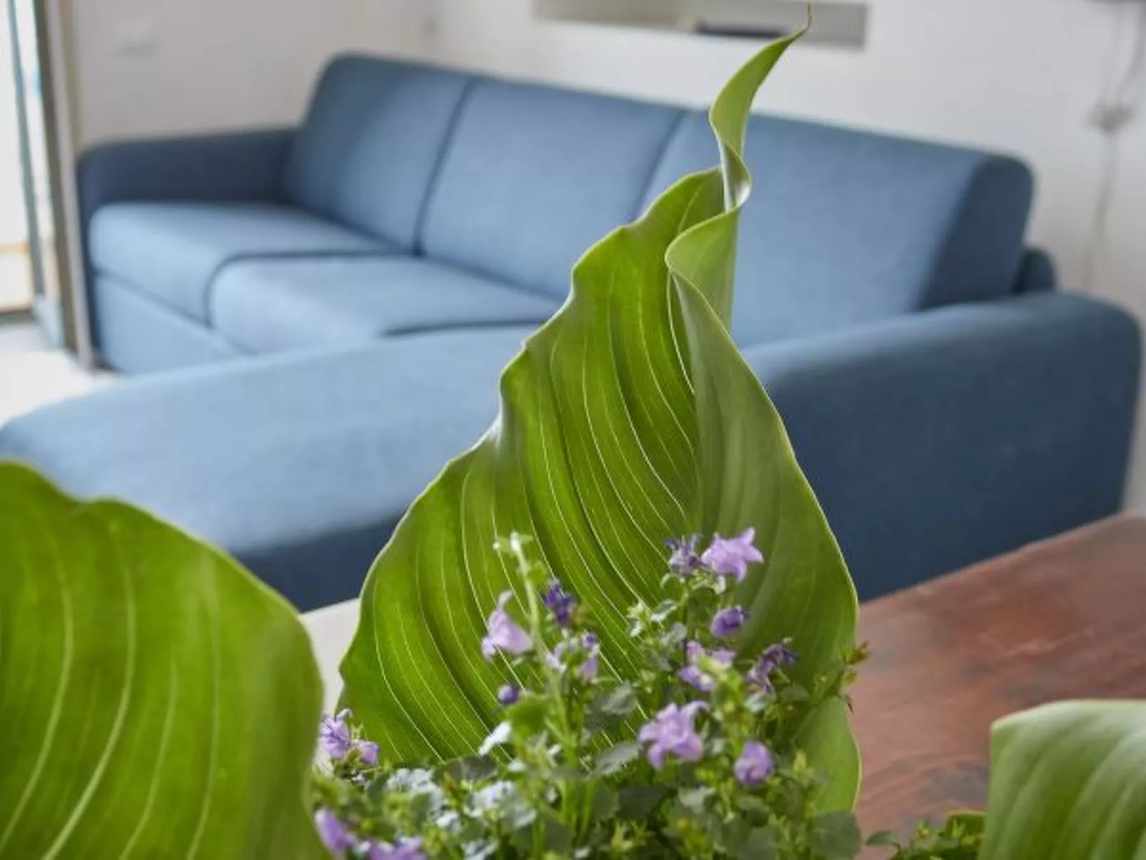 L'affresco caprese a 10 minuti dalla piazzetta