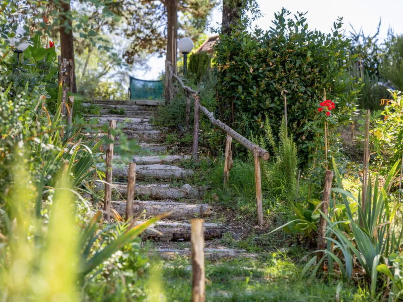 La Pineta Holiday Homes