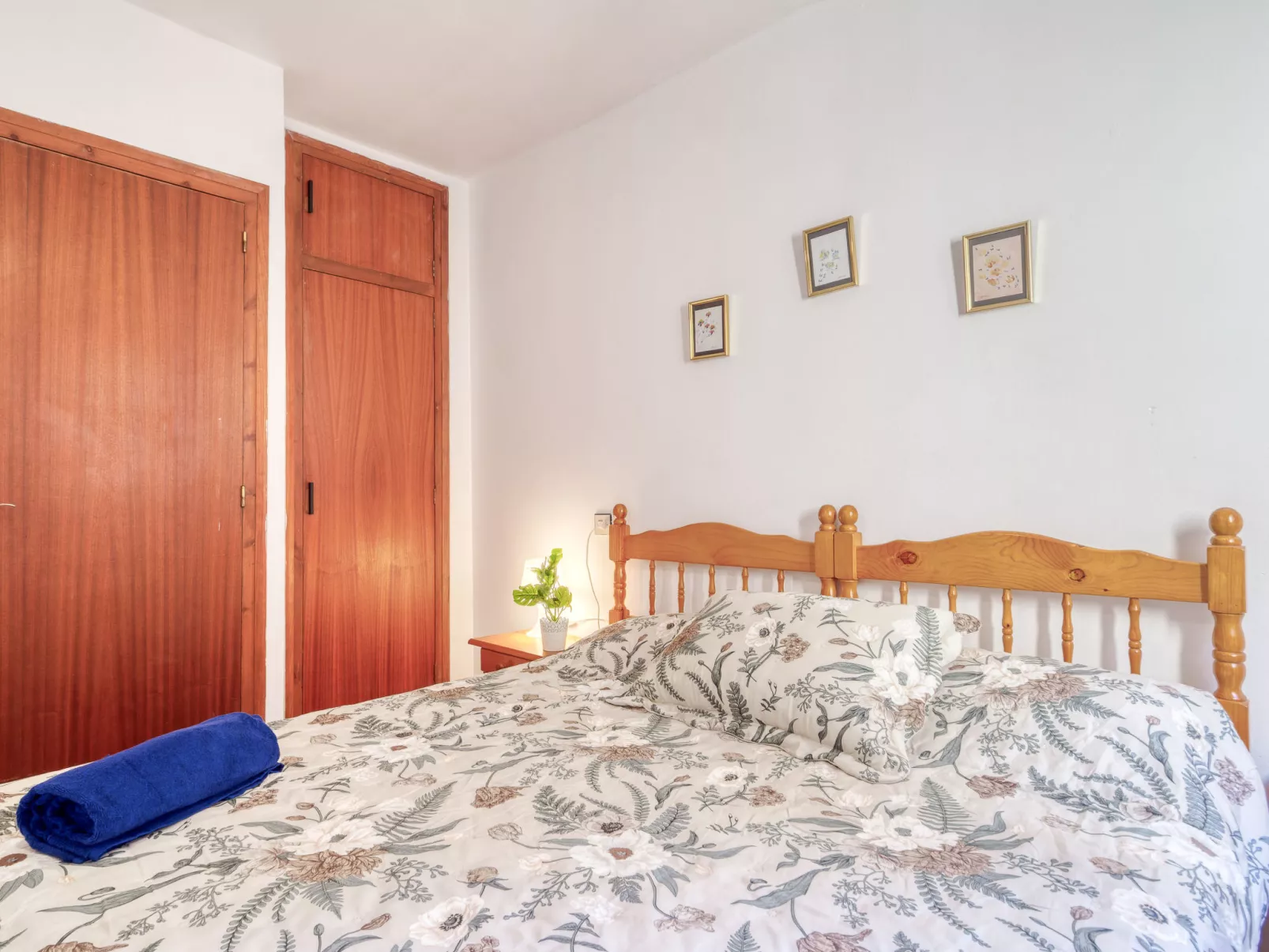 Centro peatonal Roses