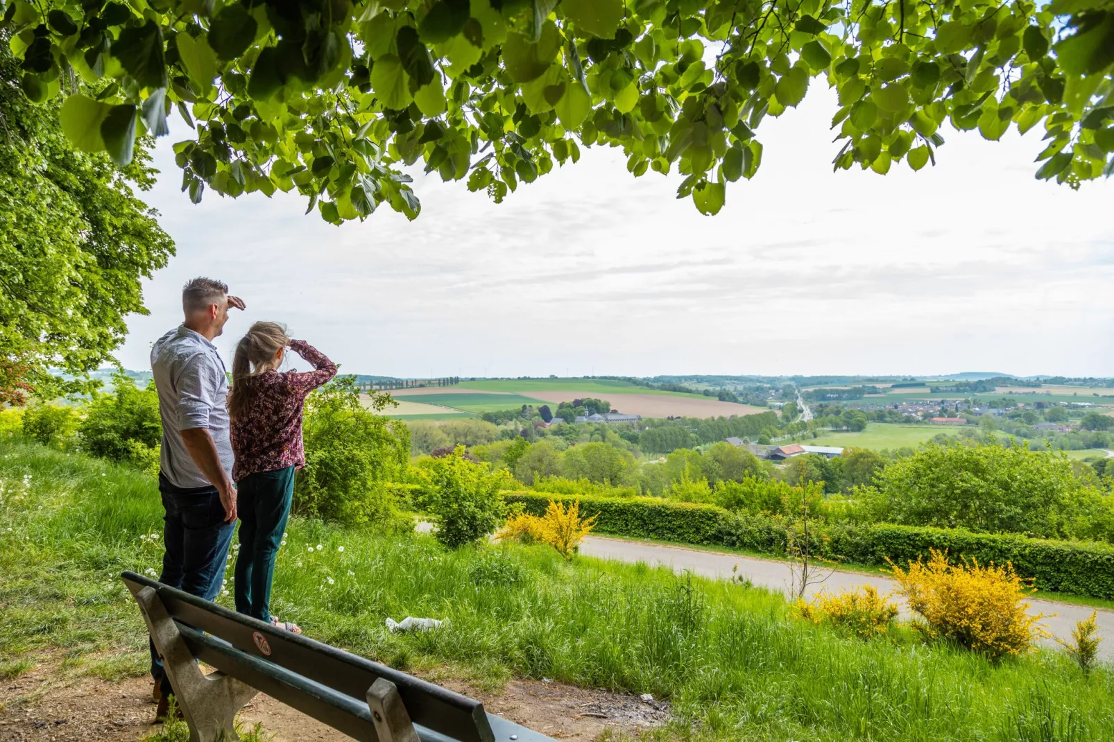 Resort Gulperberg 4-Gebiete Sommer 1 km