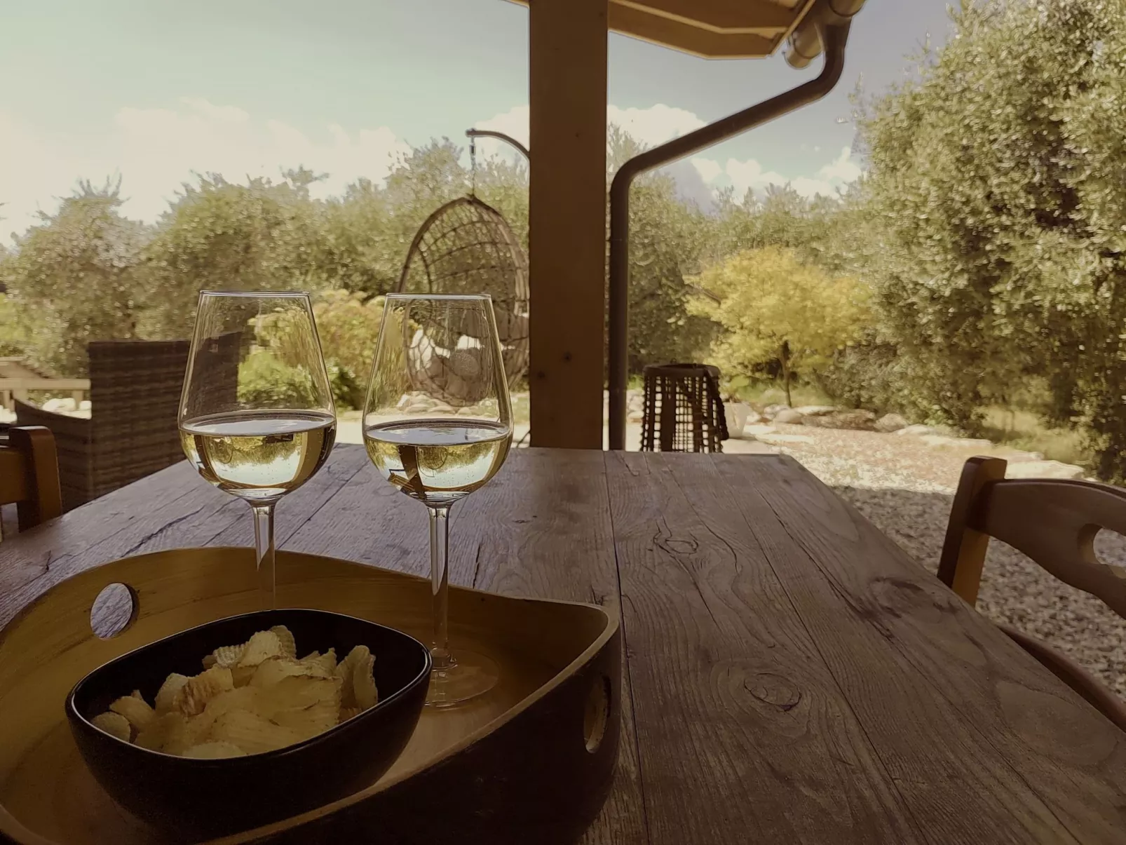 In einem spektakulären Olivenhain in einer ruhig