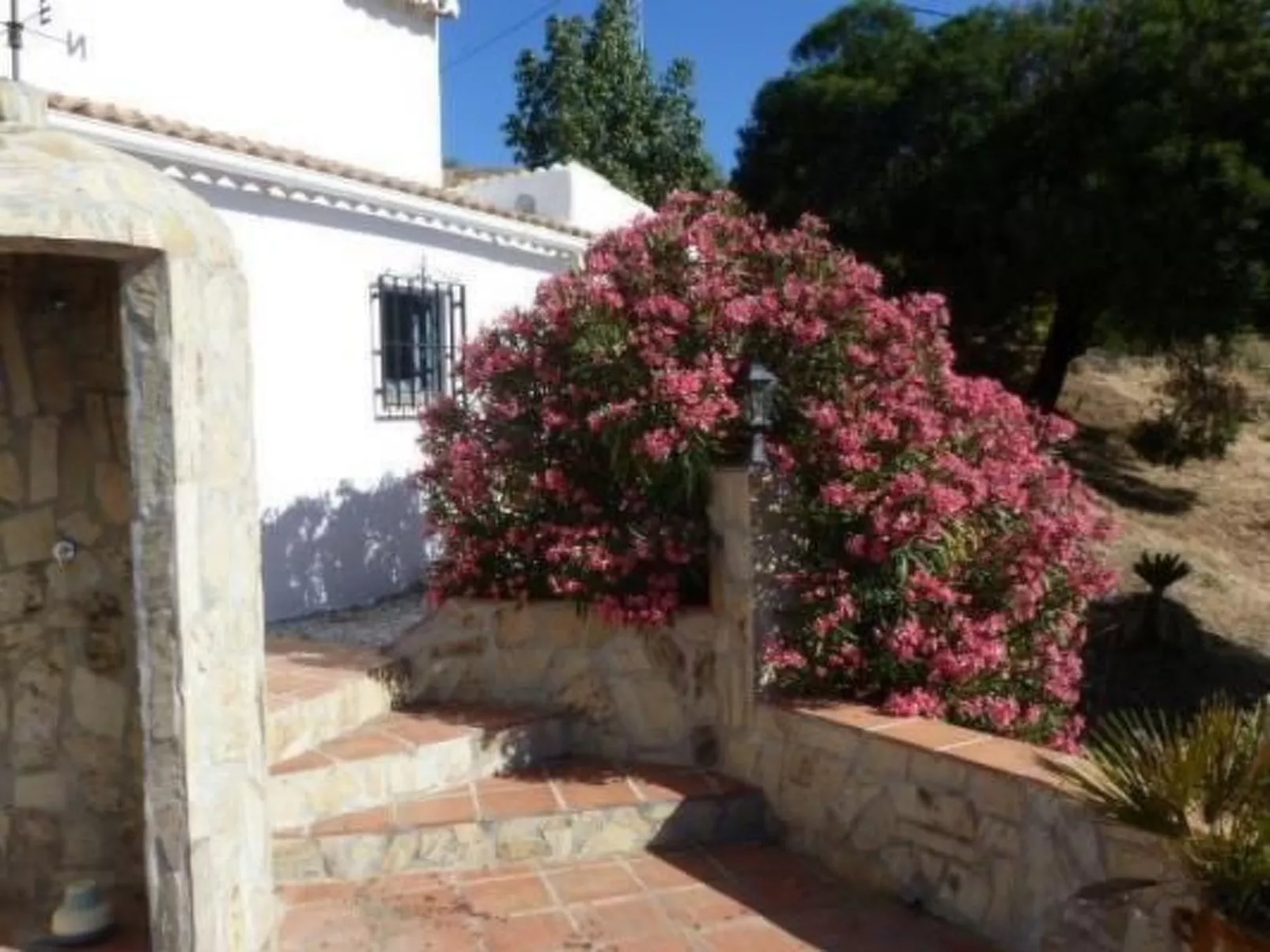 Finca "La Estrella de Cómpeta".