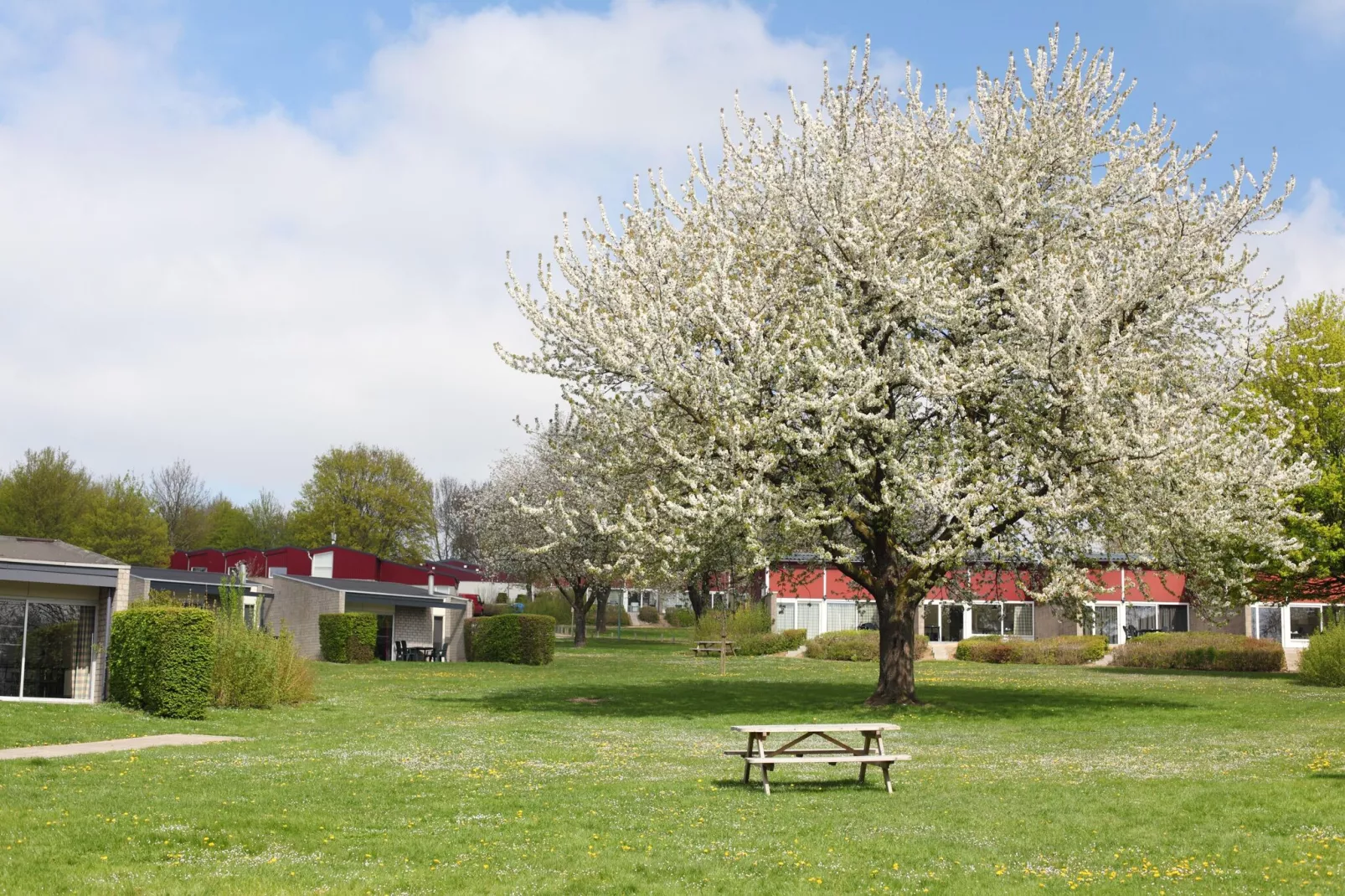 Bungalowpark Schin op Geul 3-Areas summer 1km