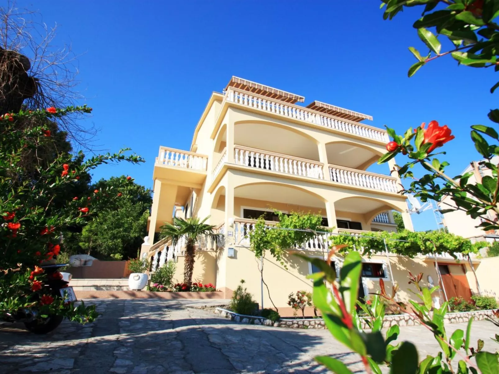 Pavica 6 / HR-02417-06