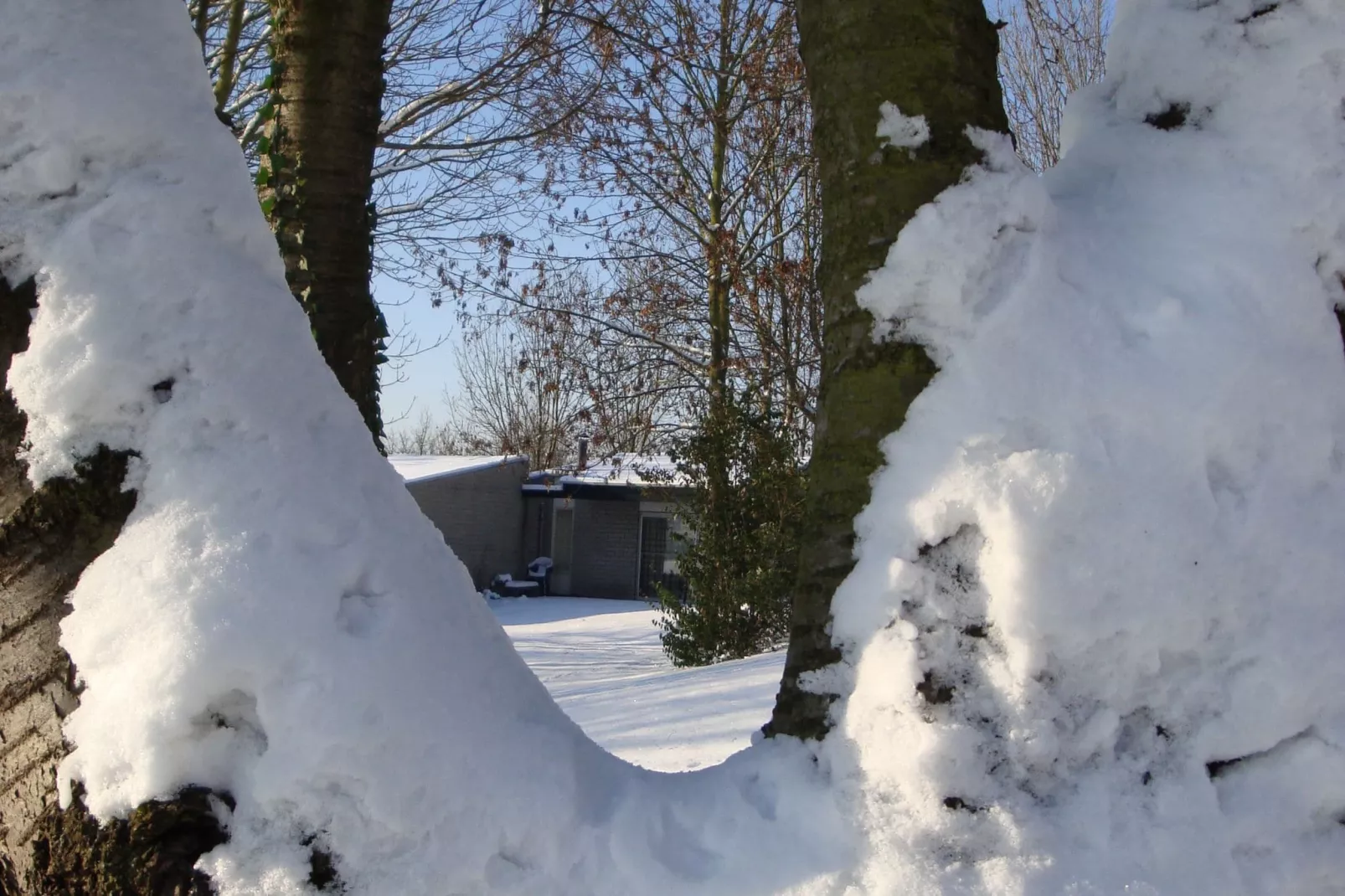 Bungalowpark Schin op Geul 6-Exterior winter