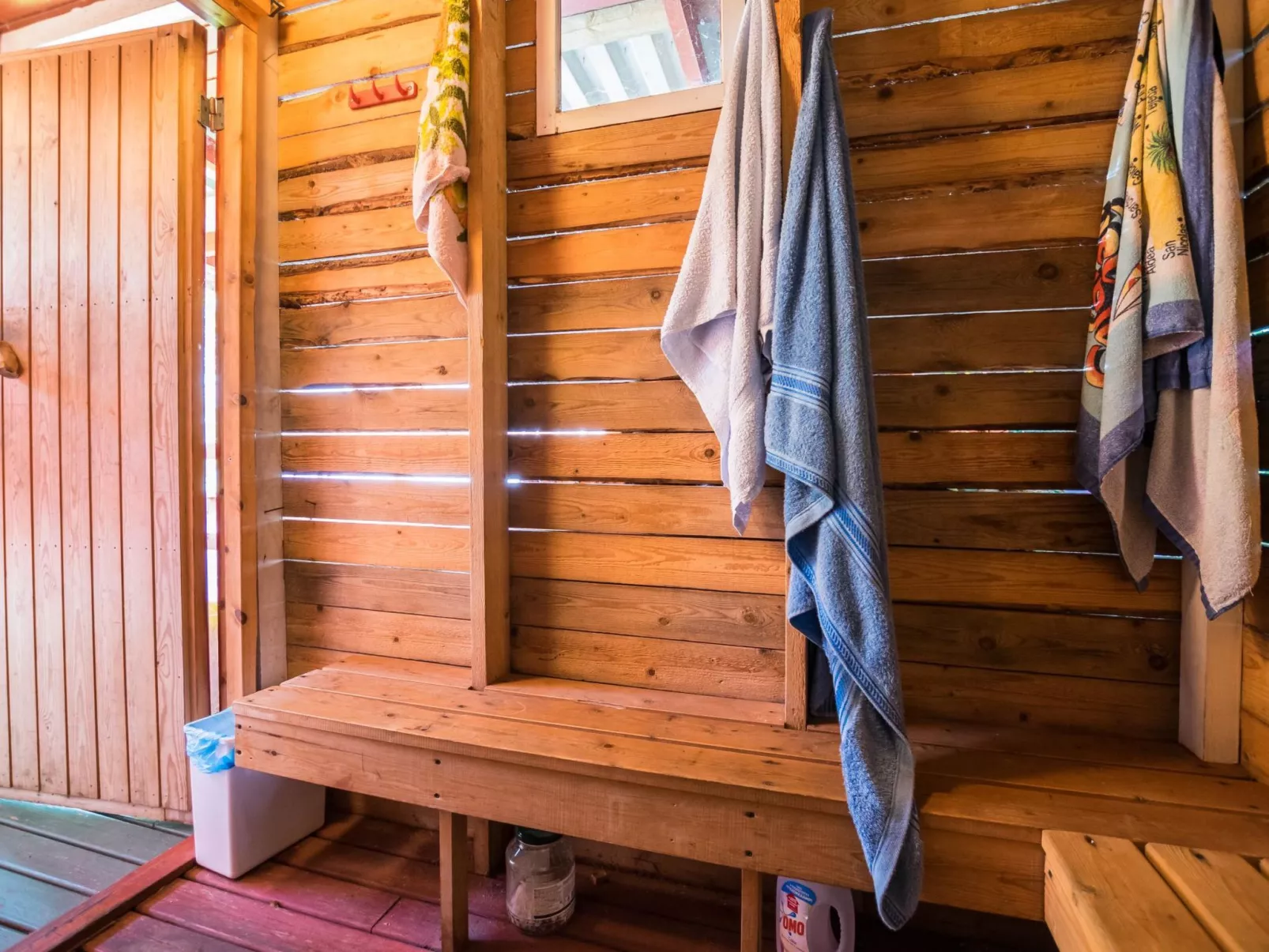 Saniainen 5 - Dedans