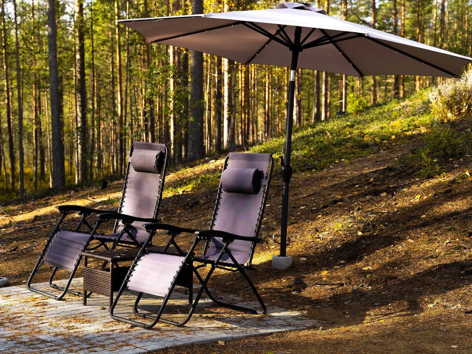 Villa käpytikka - Dedans