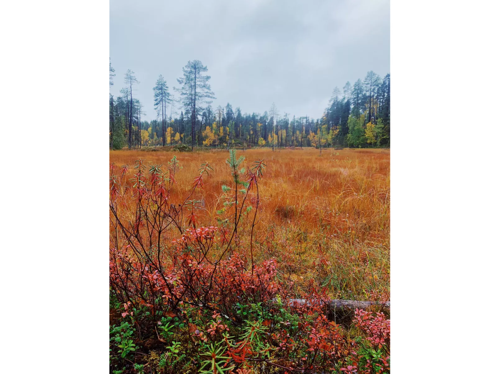 Sallan lumous a - Dedans