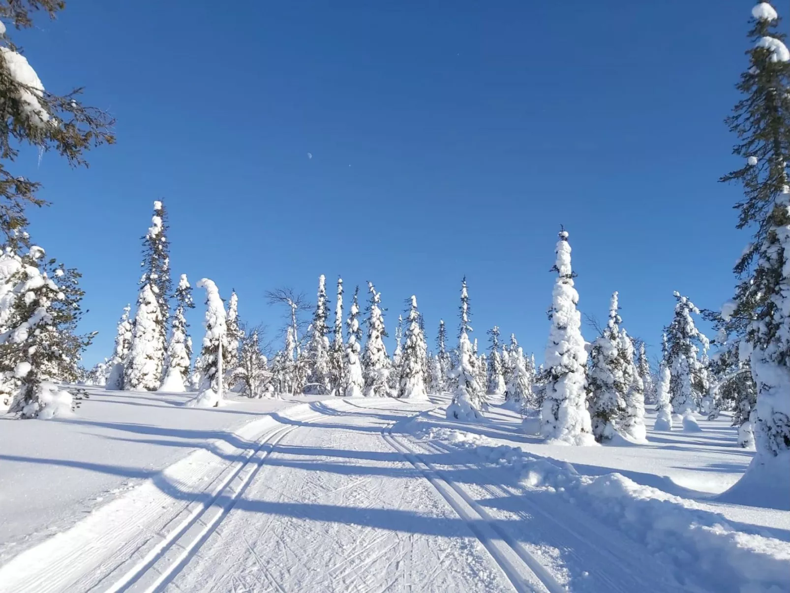 Örtsylä b - Inside