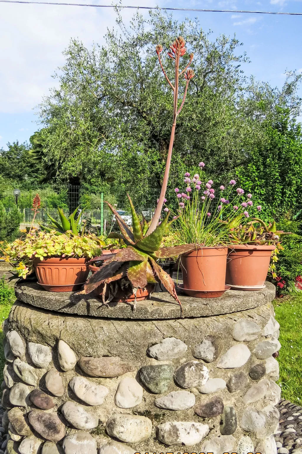 Villa im Grünen in Riva del Garda mit Terrasse - Outside