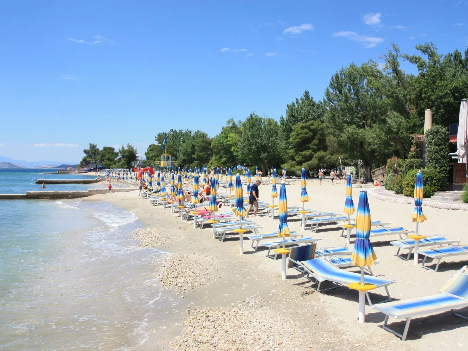 ARBORETUM 1 / HR-09911-03