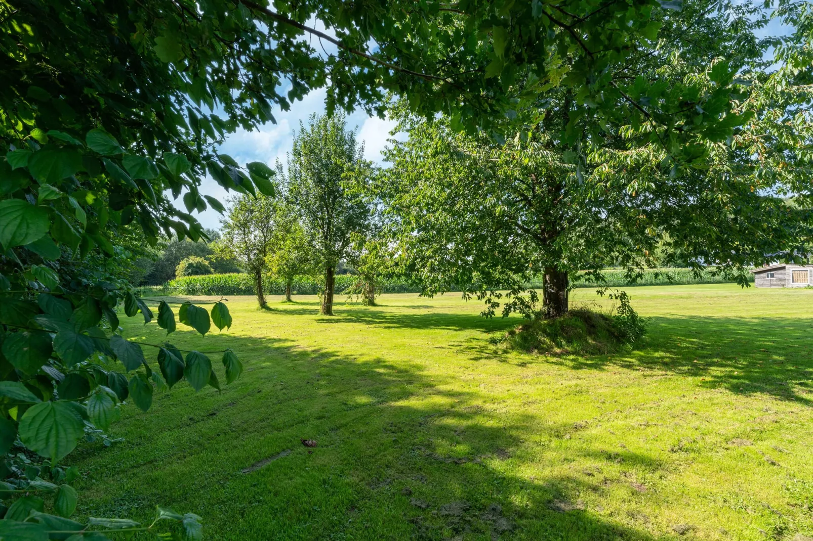 Bie Leentje on the meadow-Gardens summer