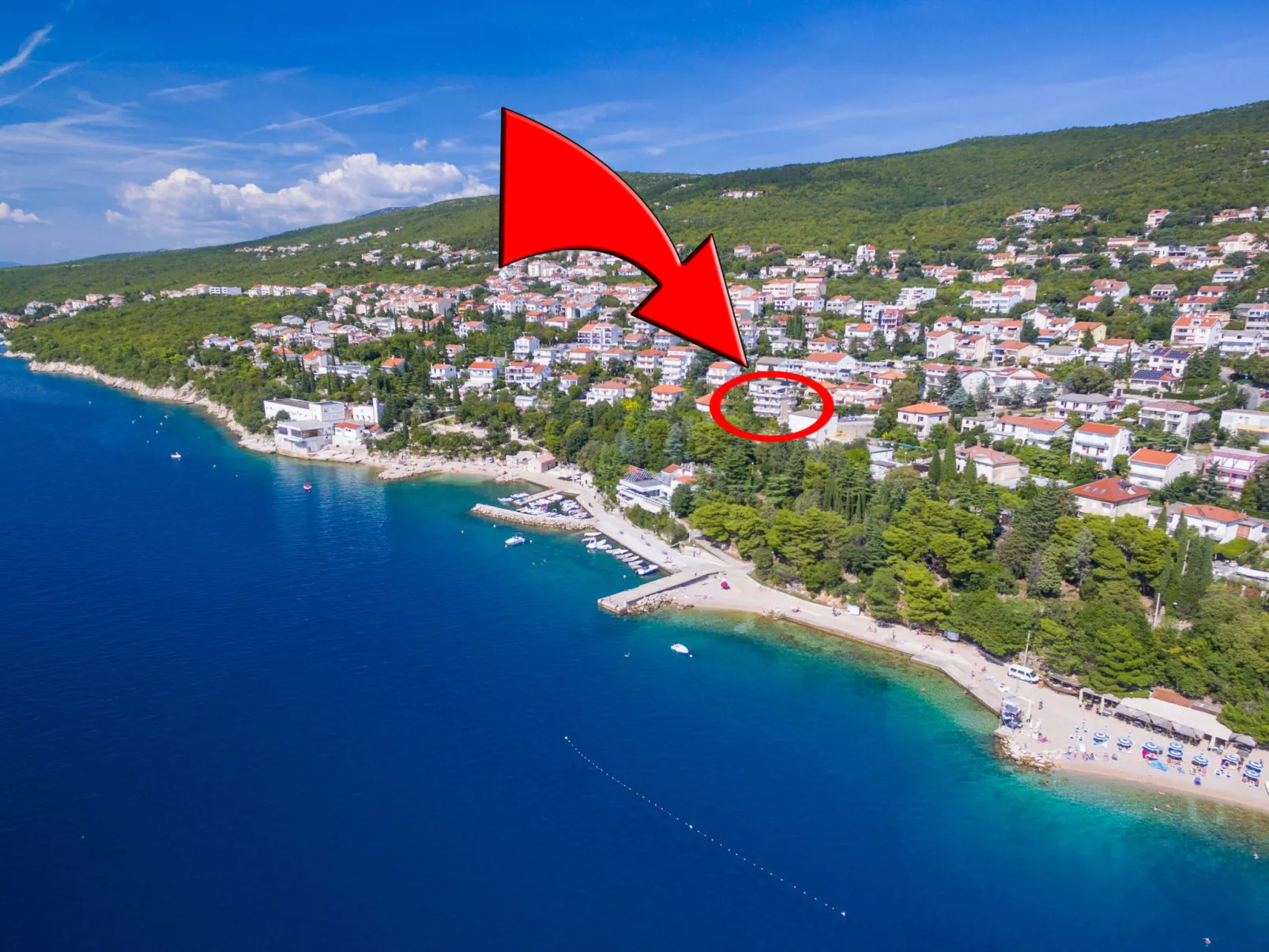 DOMINO Orange (8) / HR-09132-04